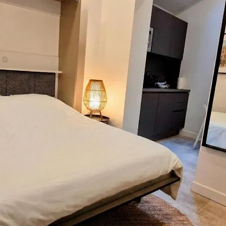 Premium Dans Belle Demeure - Hyper Centre-ville De Lejlighed *