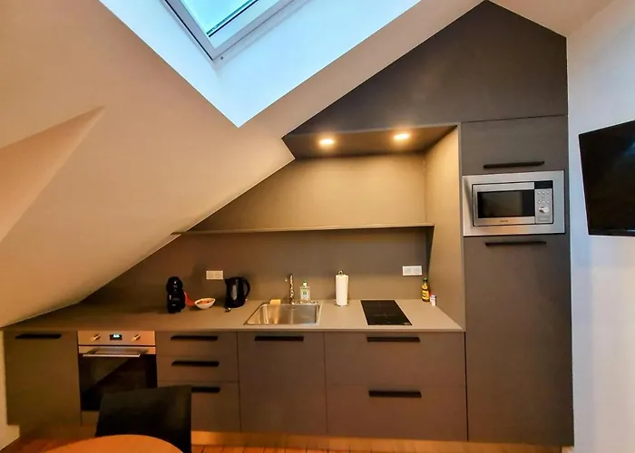 Premium Dans Belle Demeure - Hyper Centre-ville De Lejlighed