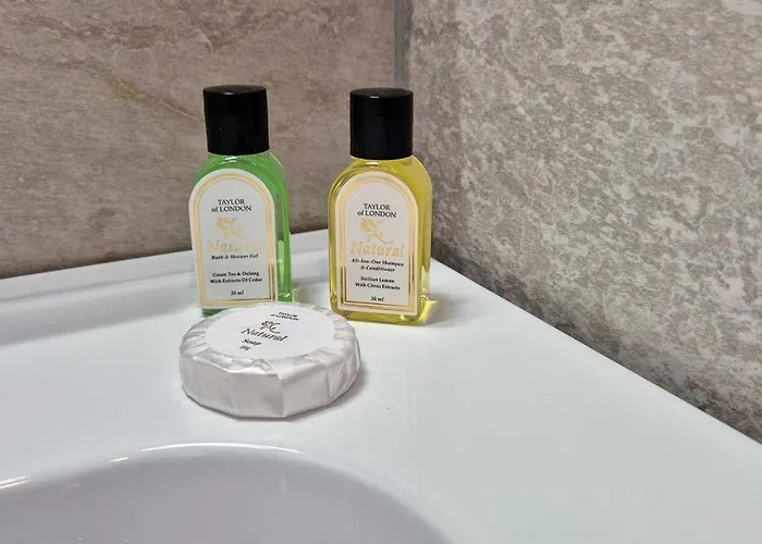 Apartment Premium Dans Belle Demeure - Hyper Centre-ville De Reims