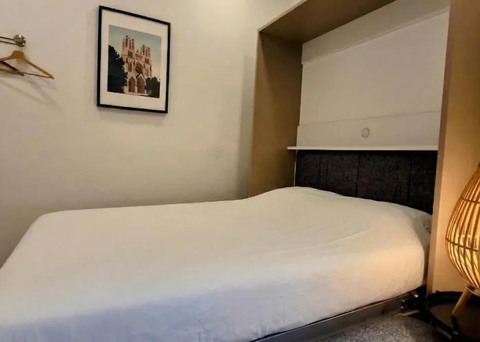 Premium Dans Belle Demeure - Hyper Centre-ville De * Reims