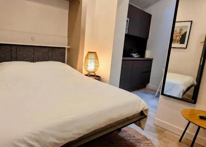 Premium Dans Belle Demeure - Hyper Centre-ville De Apartment *